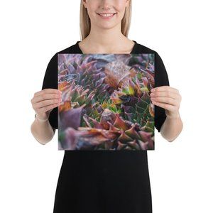 Seedem Landscape Canvas